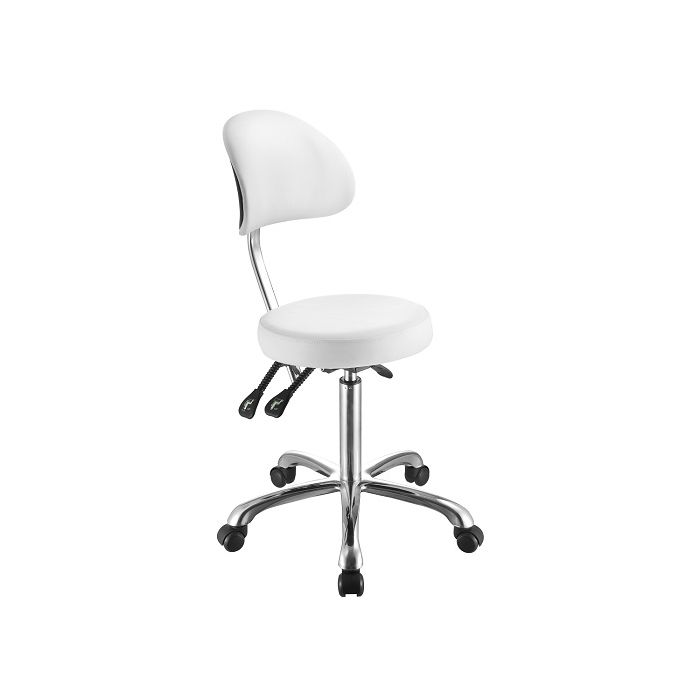 Circle Salon Seat With Back Rest