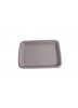 Disposable Pulp Tray 